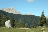Carnia - Monte Zoncolan - Sauris 2009