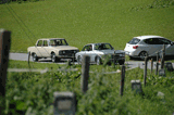 Carnia - Monte Zoncolan - Sauris 2009