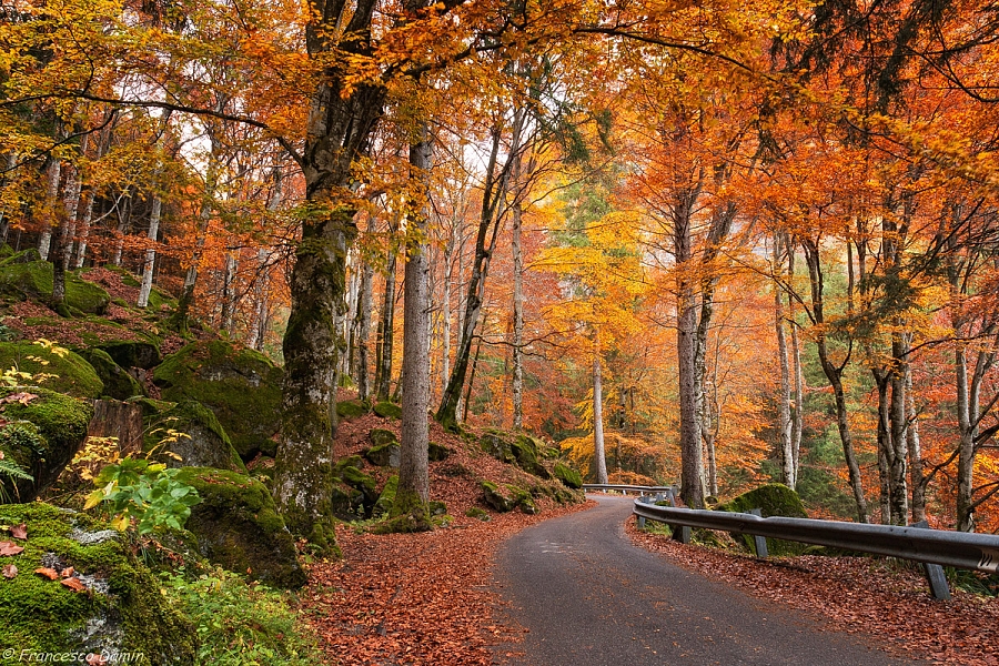 2331451f0b8e84dbc054f0a658af3ca9_montagna-bosco-alpi-autunno-lombardia-val-masino
